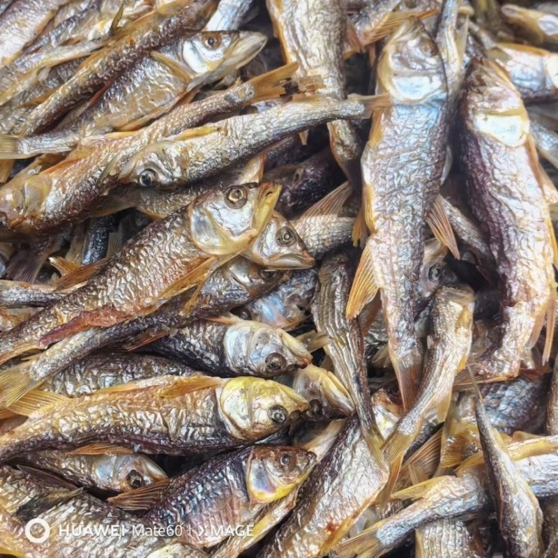 炭烤干马口鱼干溪哥桃花鱼干，大嘴马口小嘴都有
