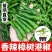 樟树港辣椒盆栽，阳台可摆放，出货中