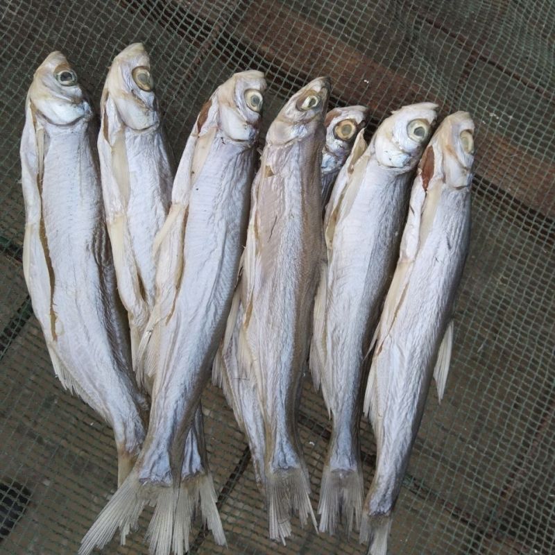 包邮）风干翘嘴鱼低盐腌制不咸不淡刚刚好餐条鱼干家乡