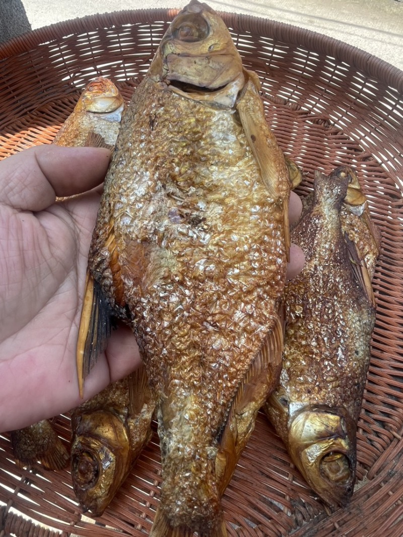 烟熏烘干大鳊鱼干大眼鱼干，去内脏咸味的