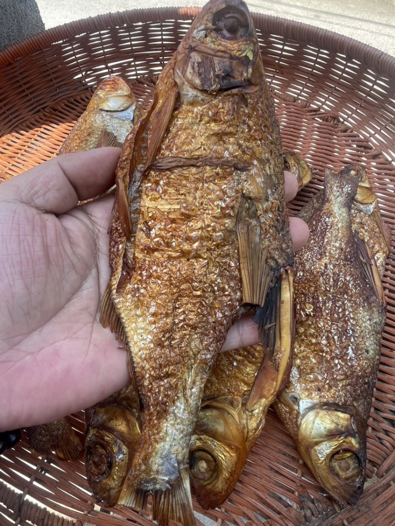 烟熏烘干大鳊鱼干大眼鱼干，去内脏咸味的