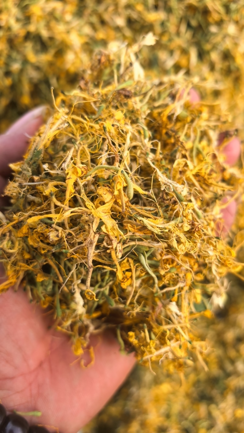 精品纯野生大毛花无硫花香，品质保证，一手货源