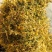 精品纯野生大毛花无硫花香，品质保证，一手货源