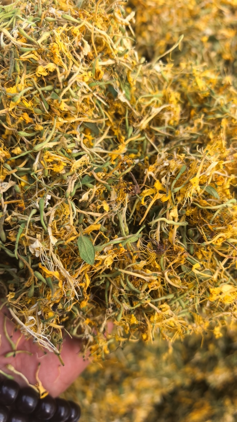 精品纯野生大毛花无硫花香，品质保证，一手货源