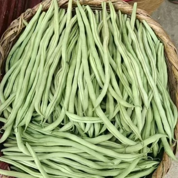 甘肃省陇南市成县架豆可对接全国电商市场商超等客户欢迎来