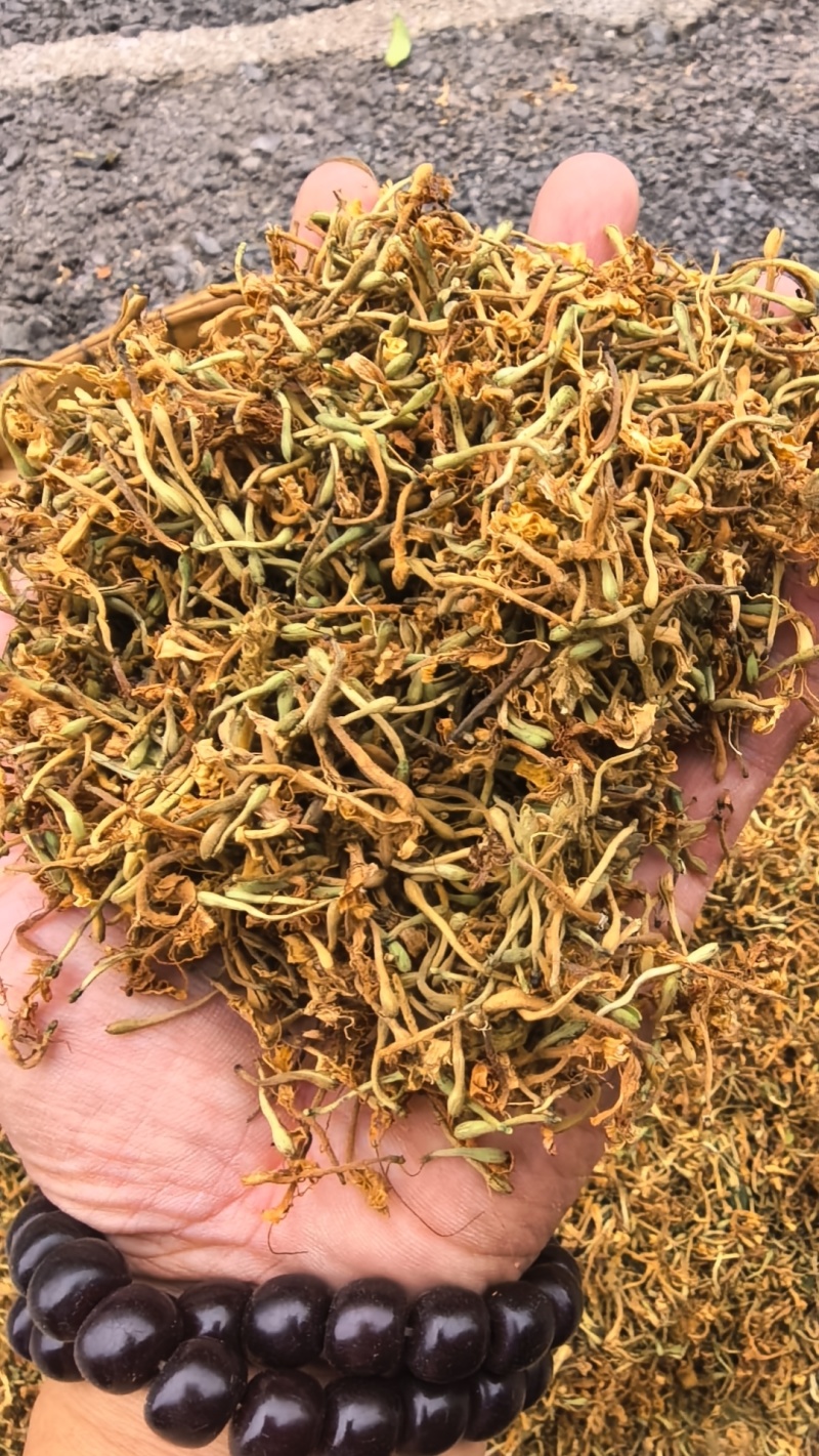 推荐，贵州安龙野生金银花开花选货，产地直供品质保证