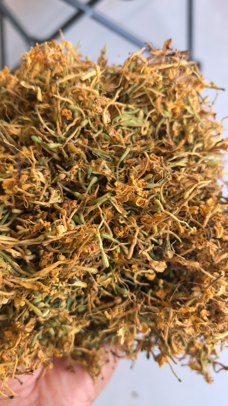 推荐，贵州安龙野生金银花开花选货，产地直供品质保证