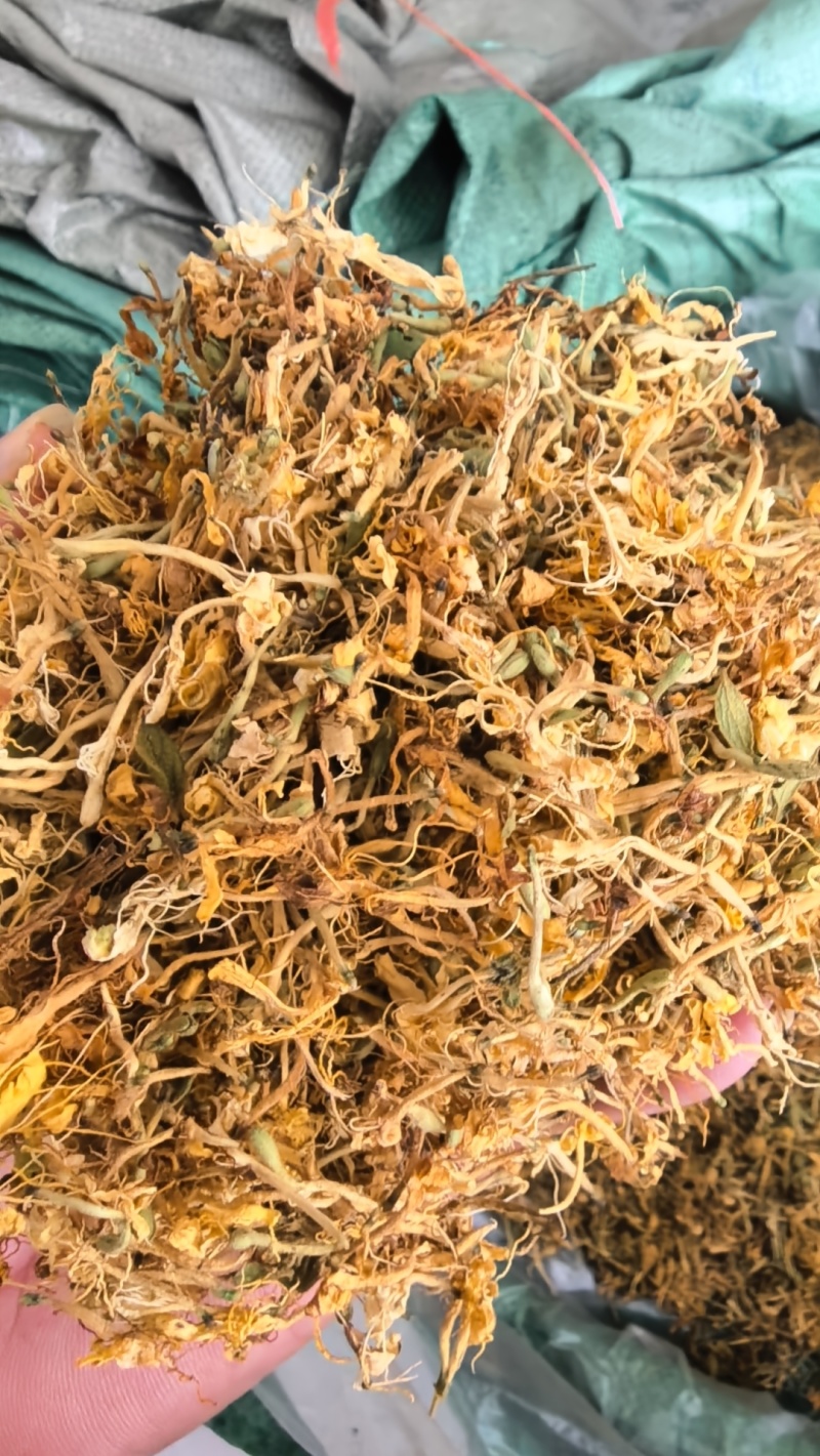 推荐，贵州安龙野生金银花开花选货，产地直供品质保证
