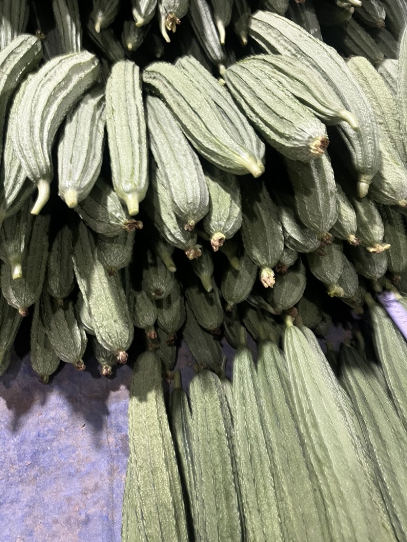 产地直发八角丝瓜量大从优