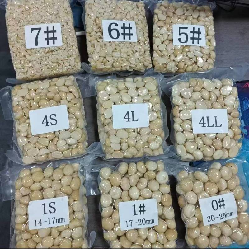 夏威夷果仁