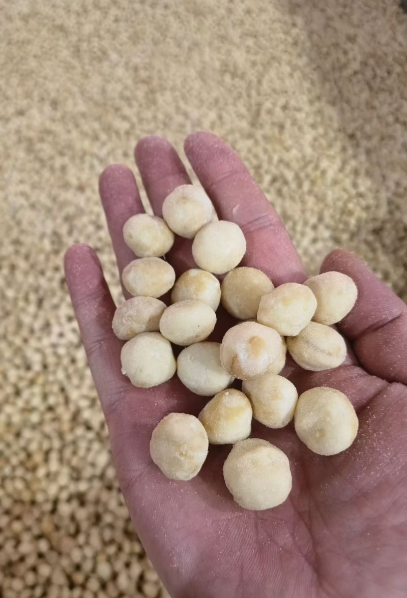 夏威夷果仁