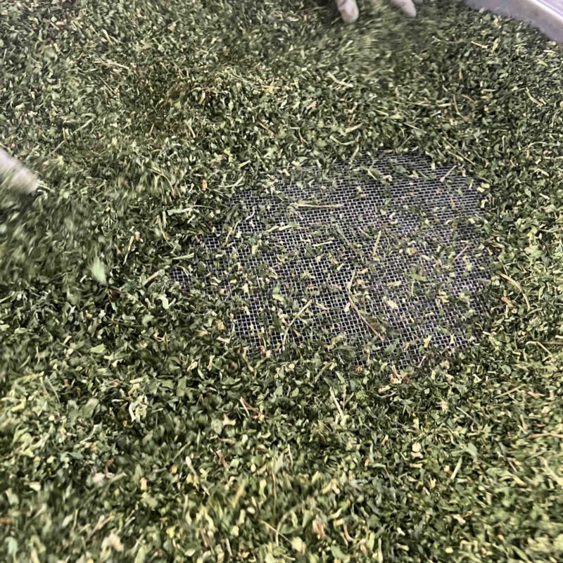 大量供应欧芹水洗烘干欧芹茎，打粉用，饲料用欧芹茎，下脚料