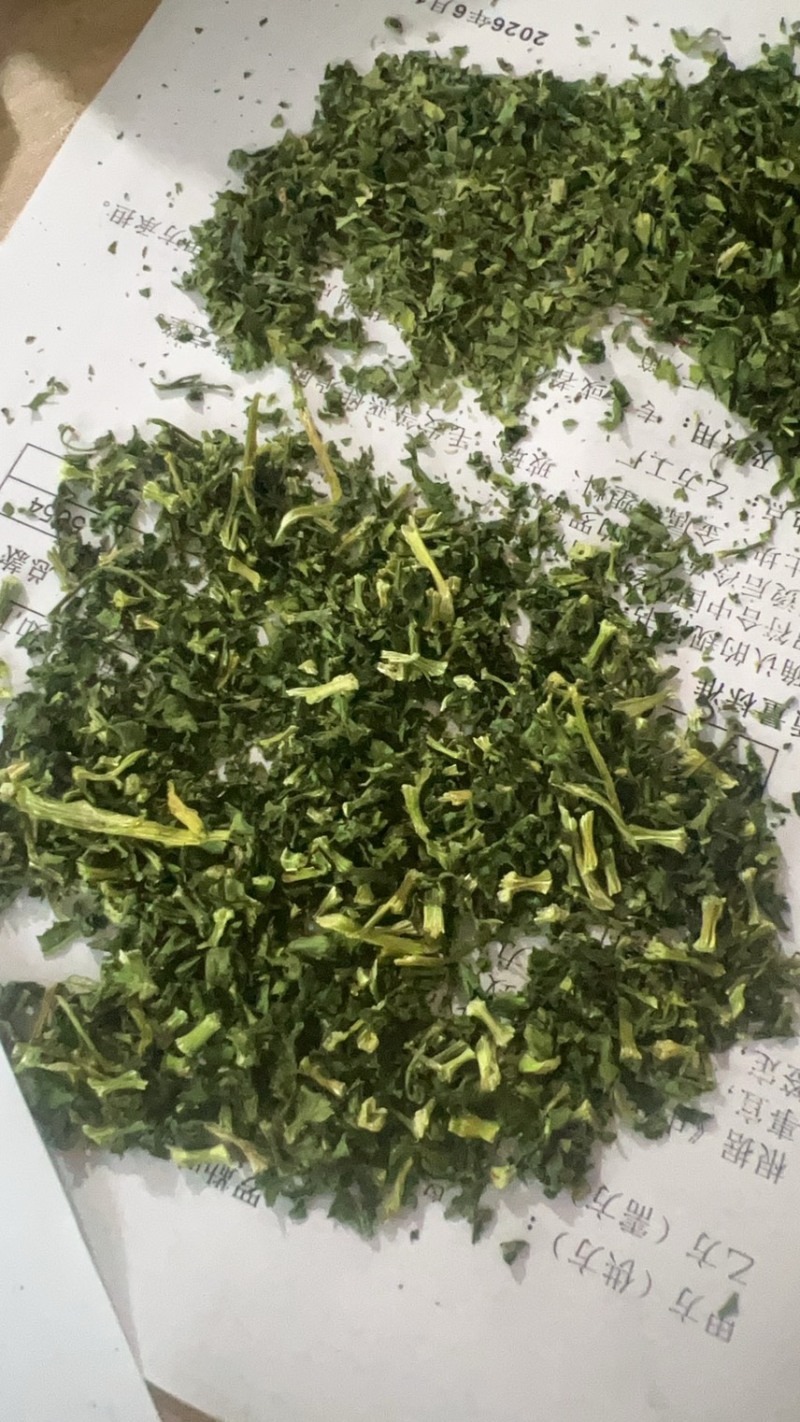 大量供应欧芹水洗烘干欧芹茎，打粉用，饲料用欧芹茎，下脚料