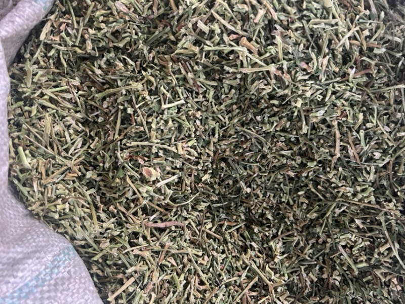 大量供应欧芹水洗烘干欧芹茎，打粉用，饲料用欧芹茎，下脚料