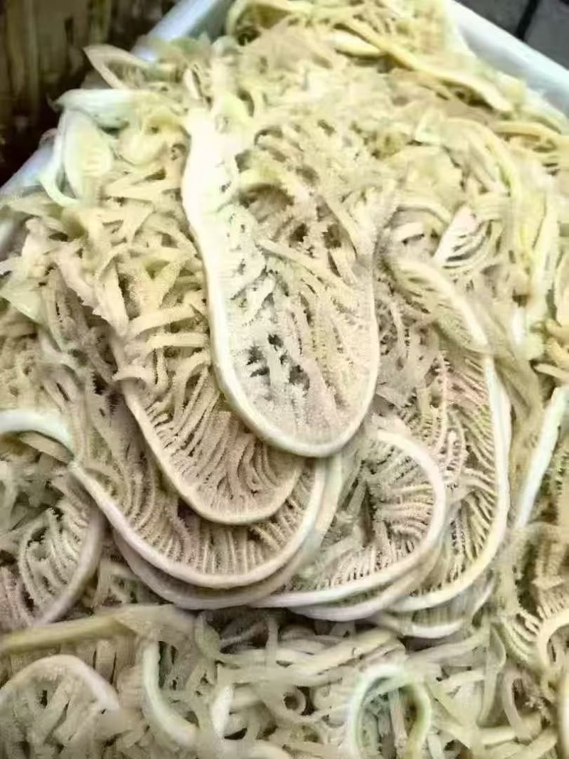 白千层丝，火锅食材批发，全国冷物链发货，货源充足稳定！
