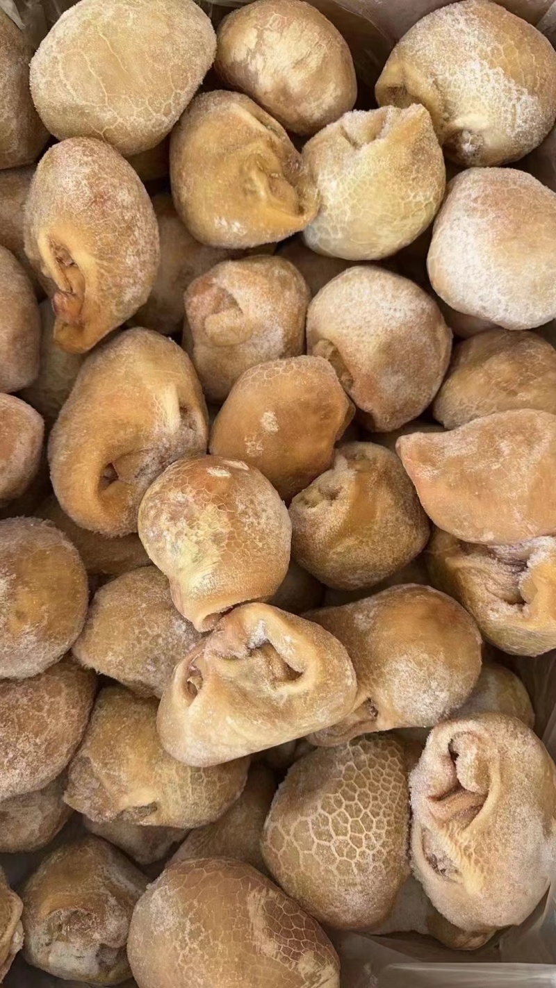 生羊肚，纯干货，全国冷链物流发货，货源稳定充足！