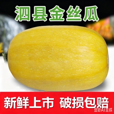 2026泗县金丝搅瓜
