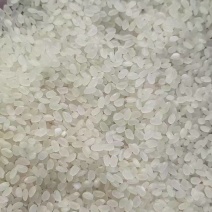 大米