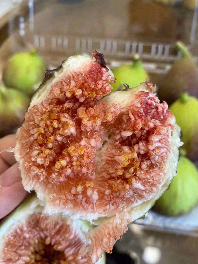 波姬红无花果高海拔树熟无花果