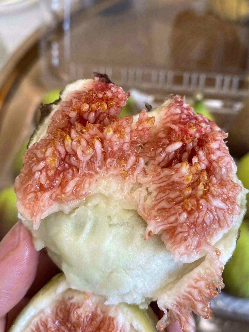 波姬红无花果高海拔树熟无花果