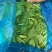 上海青浦区农户自种的鸡毛菜