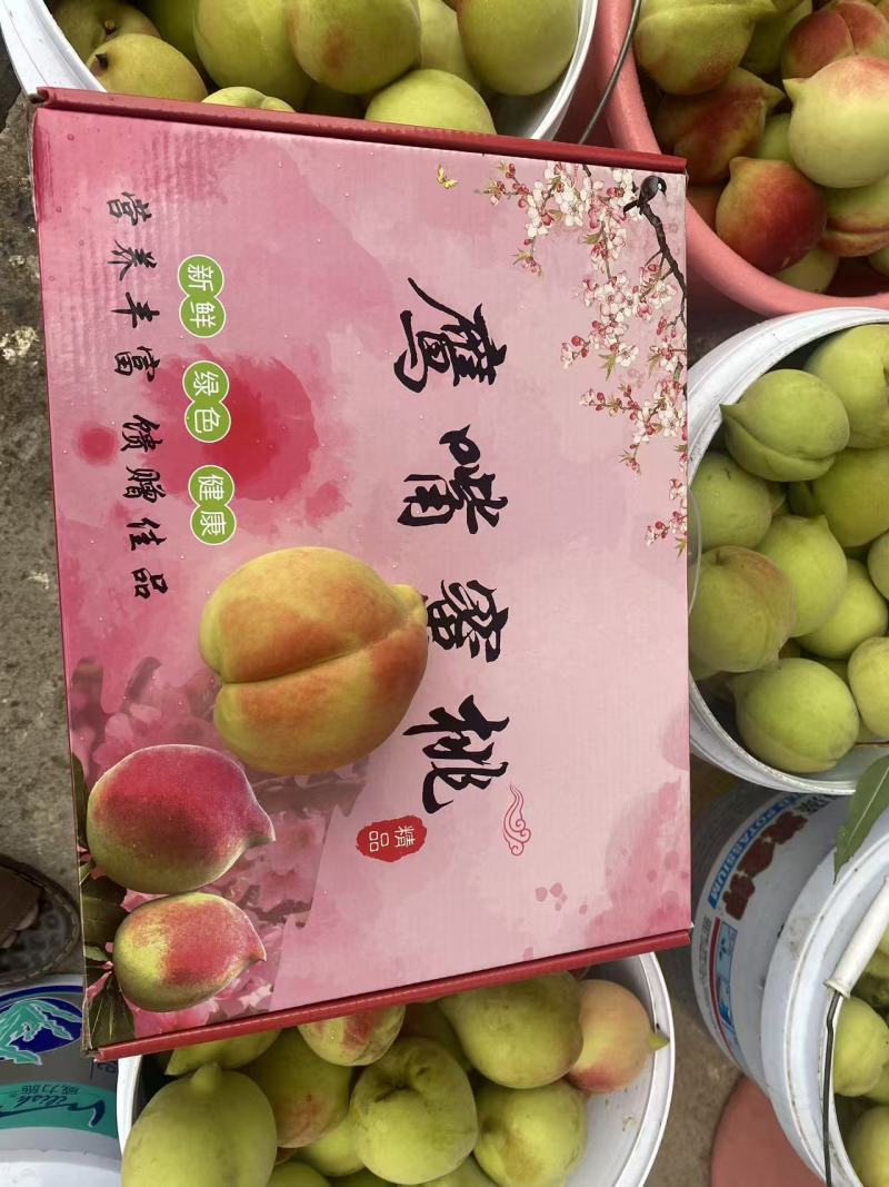 江西寻乌鹰嘴桃现摘鲜果基地直发大果脆甜多汁
