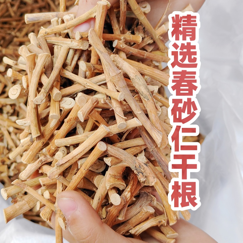 阳春春砂仁干根批广东阳春产地大量直销批发