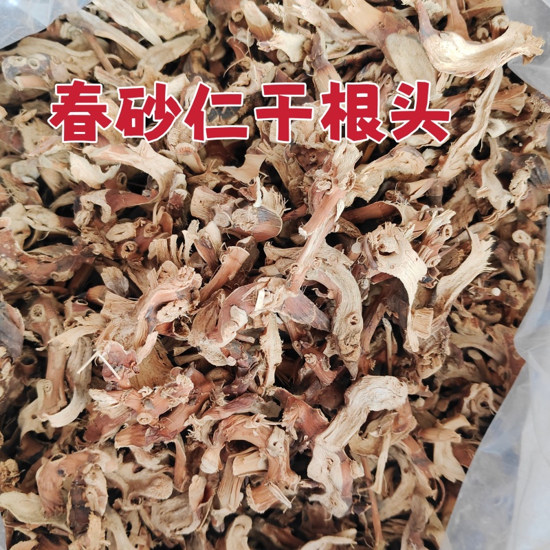阳春春砂仁干根批广东阳春产地大量直销批发
