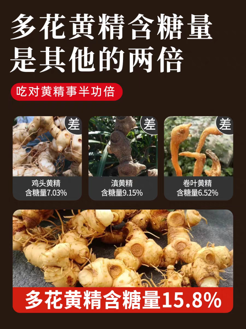 九华山野生黄精正品特级新鲜九蒸九制肉头黄精泡酒泡水煮粥