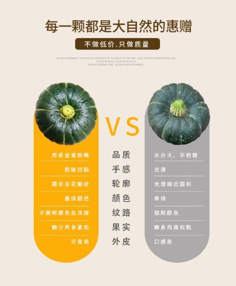 粉糯香甜板栗味真贝贝南瓜一件代发源头直供可开发票支持溯源