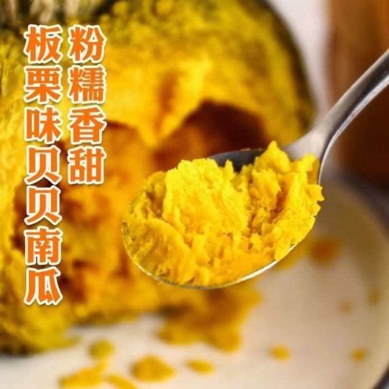 粉糯香甜板栗味真贝贝南瓜一件代发源头直供可开发票支持溯源