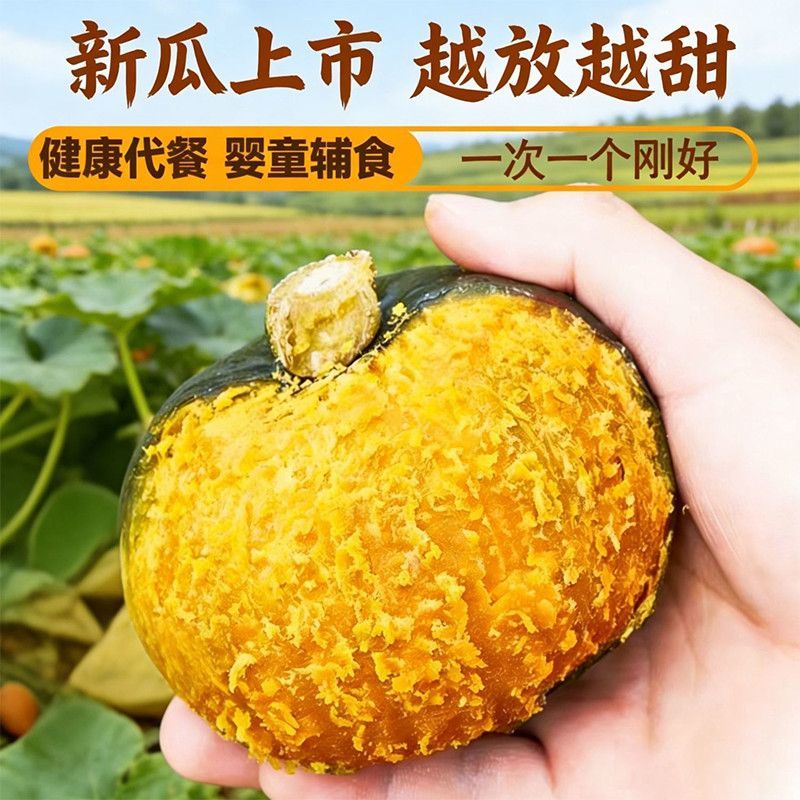 粉糯香甜板栗味真贝贝南瓜一件代发源头直供可开发票支持溯源