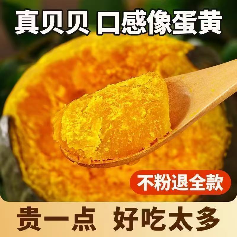 粉糯香甜板栗味真贝贝南瓜一件代发源头直供可开发票支持溯源