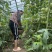 本地粉番茄