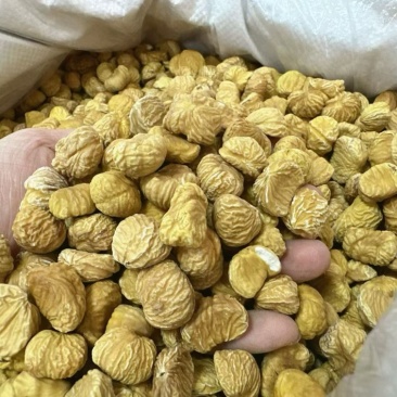 精品板粟干，全干货