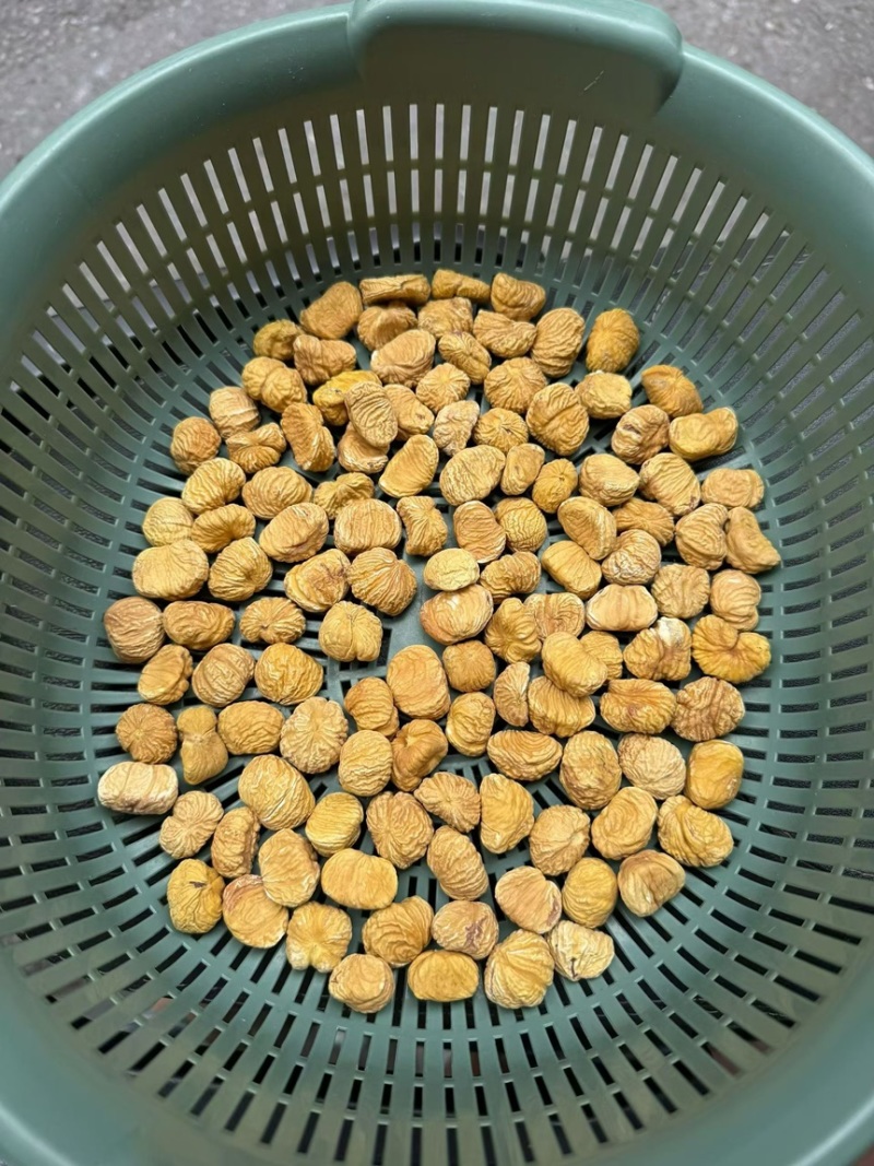 精品板粟干，全干货