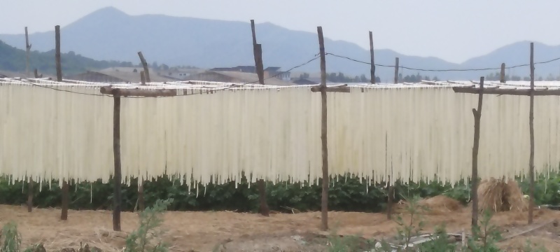 出口甜葫芦条