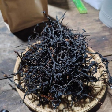 古树野生红
