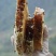 【推荐】土蜂蜜蜂蜜浓稠透亮清甜绵柔对接商超超市