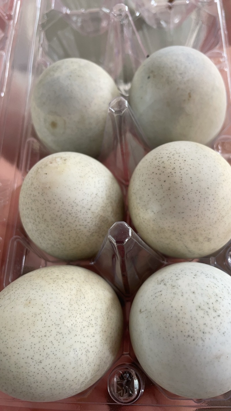 次一级，无铅松花蛋，单个70到80克
