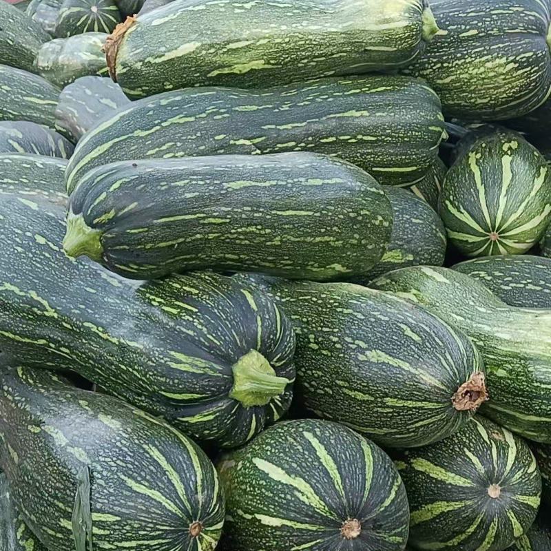 青皮蜜本南瓜，产地直发，量大从优，支持档口商超，食堂工厂