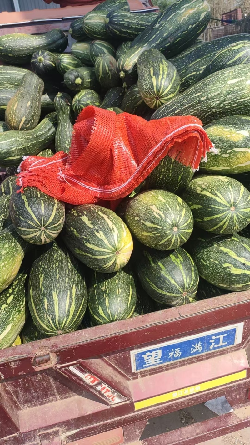 青皮蜜本南瓜，产地直发，量大从优，支持档口商超，食堂工厂
