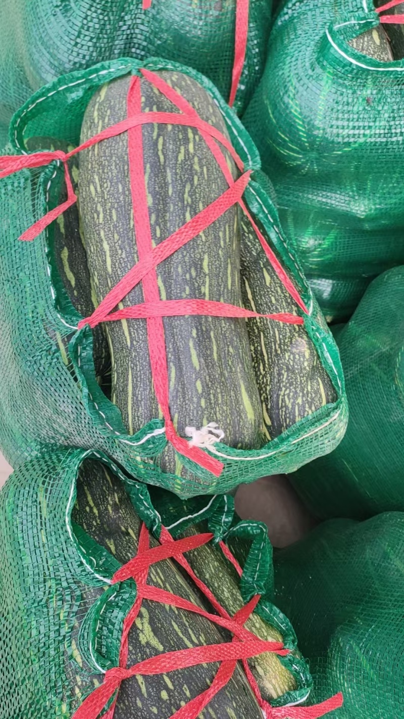 青皮蜜本南瓜，产地直发，量大从优，支持档口商超，食堂工厂