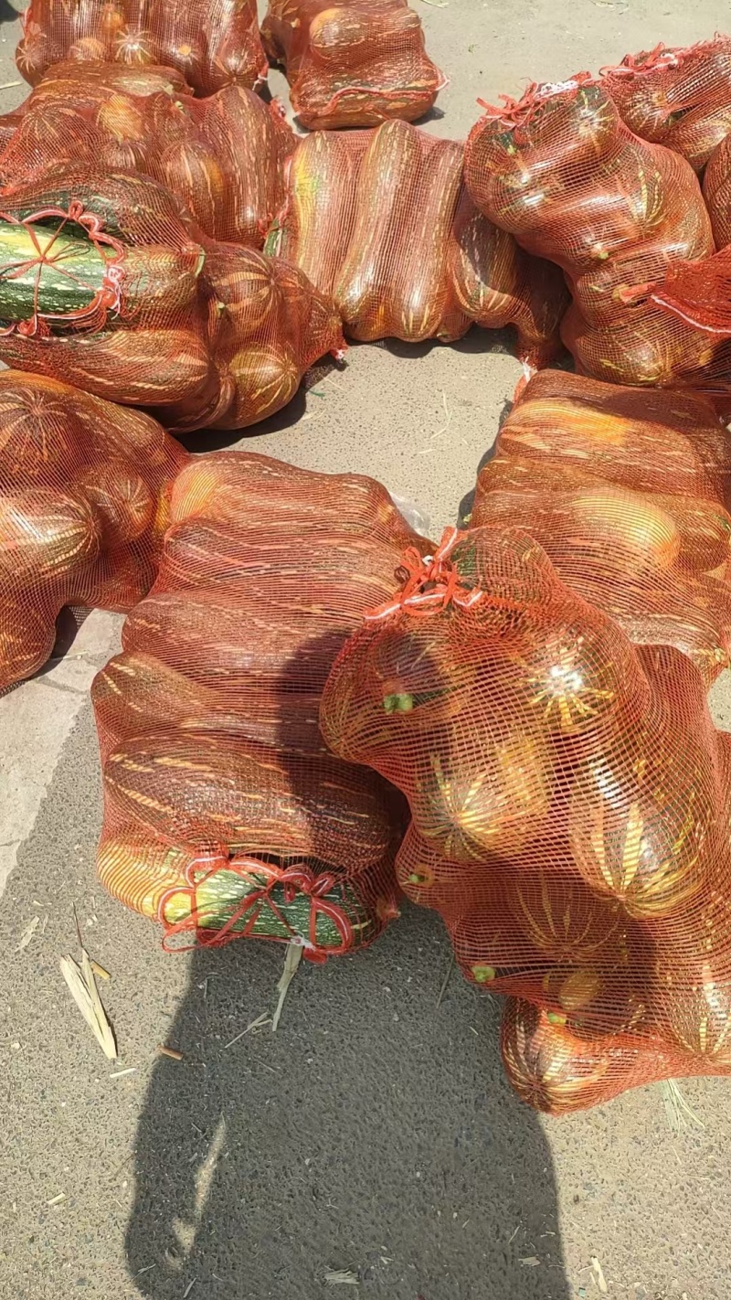 青皮蜜本南瓜，产地直发，量大从优，支持档口商超，食堂工厂
