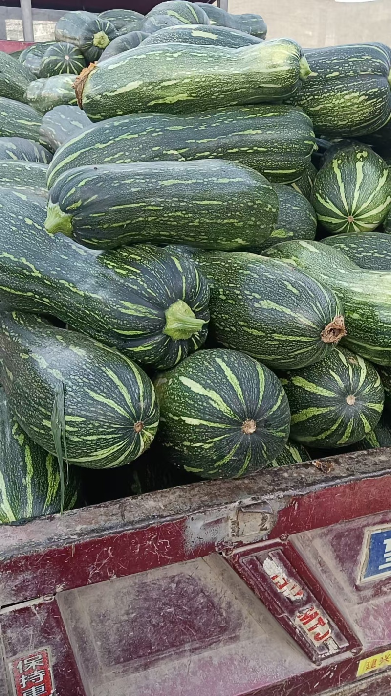 青皮蜜本南瓜，产地直发，量大从优，支持档口商超，食堂工厂