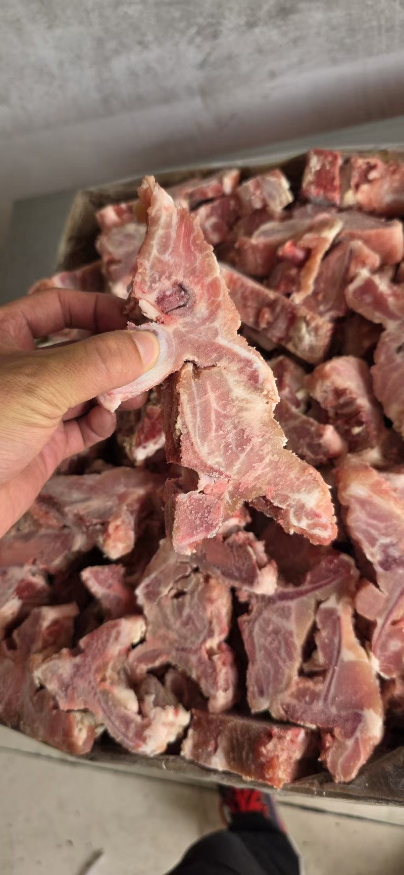 多肉龙骨块