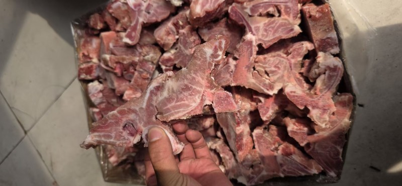 多肉龙骨块