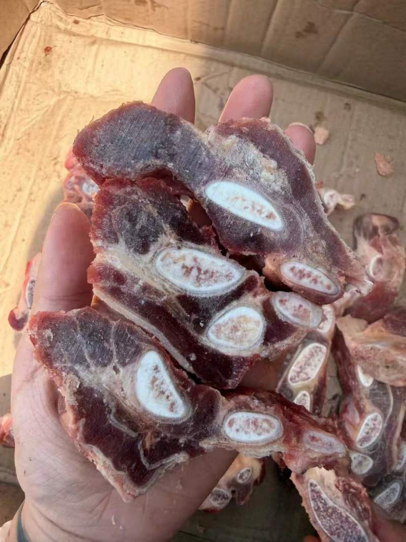 羊燕翅骨