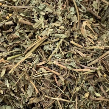 叶下珠【包邮】三斤起发货可批量可零售量大从优