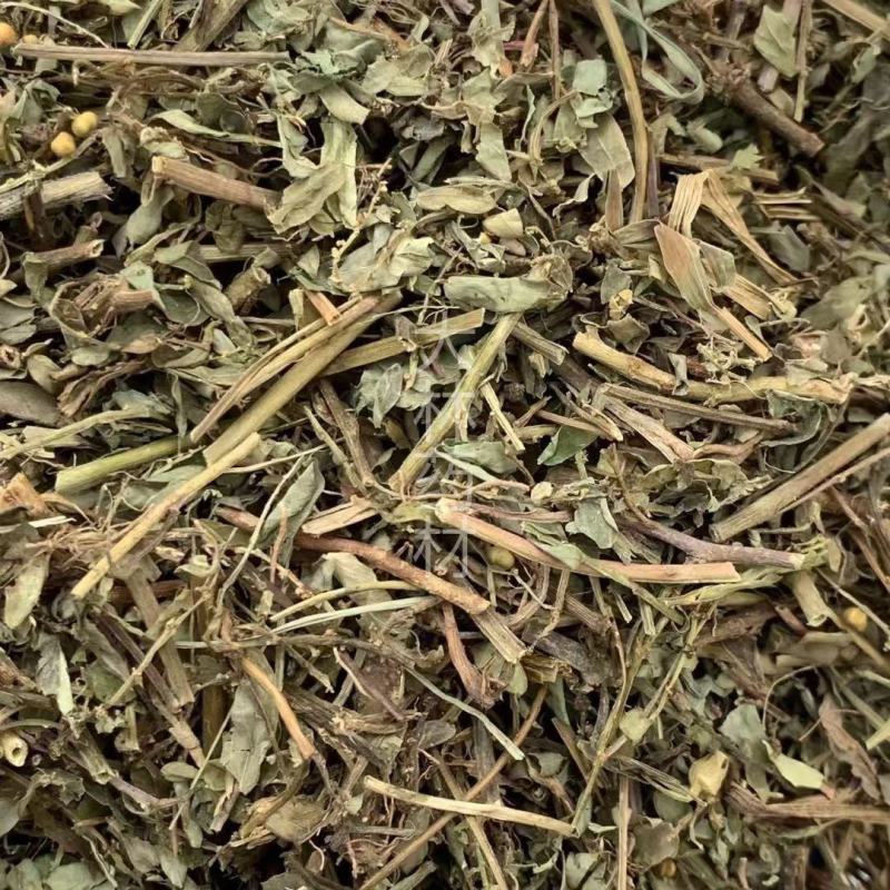 叶下珠【包邮】三斤起发货可批量可零售量大从优